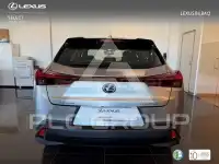 2019 Lexus UX