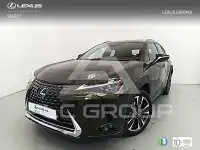 2019 Lexus UX