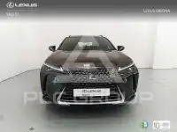2019 Lexus UX