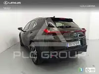 2019 Lexus UX