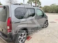 2019 Peugeot Rifter