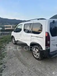 2019 Peugeot Rifter