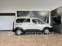 2019 Peugeot Rifter