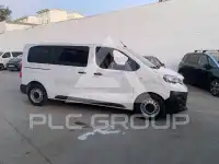 2019 Peugeot Expert