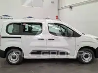 2019 Citroen Berlingo