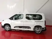 2019 Citroen Berlingo