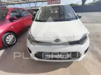 2019 KIA Picanto