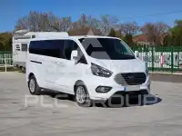 2019 Ford Tourneo
