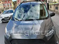 2019 Ford Tourneo