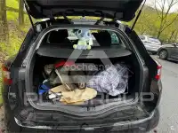 2019 Renault Megane