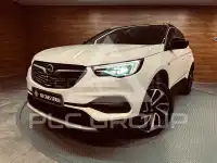 2019 Opel GrandlandX