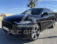 2020 Audi Q8