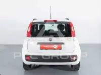 2020 Fiat Panda