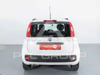 2020 Fiat Panda