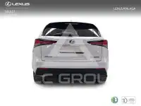 2020 Lexus NX