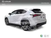 2020 Lexus NX