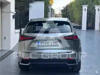 2020 Lexus NX