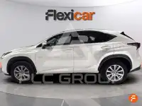 2020 Lexus NX
