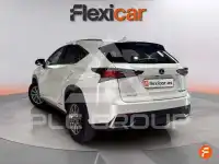 2020 Lexus NX