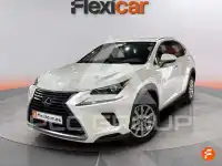 2020 Lexus NX