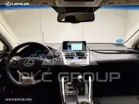 2020 Lexus NX