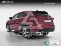 2020 Lexus NX