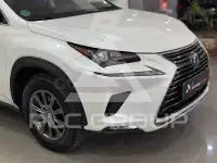 2020 Lexus NX