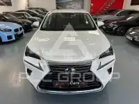 2020 Lexus NX