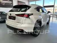 2020 Lexus NX