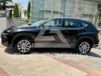2020 Lexus NX