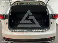 2020 Lexus NX