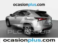2020 Lexus NX