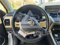 2020 Lexus NX
