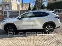 2020 Lexus NX