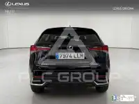 2020 Lexus NX