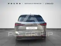 2020 Lexus NX
