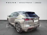 2020 Lexus NX
