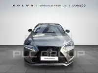 2020 Lexus NX