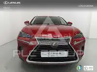 2020 Lexus NX