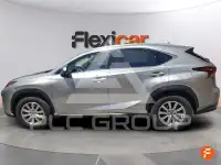 2020 Lexus NX