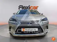 2020 Lexus NX