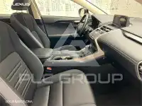 2020 Lexus NX