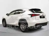 2020 Lexus NX