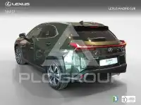 2020 Lexus UX