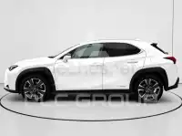 2020 Lexus UX