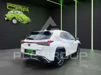2020 Lexus UX