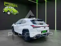 2020 Lexus UX