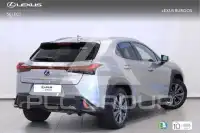 2020 Lexus UX