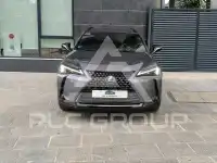 2020 Lexus UX