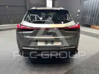 2020 Lexus UX
